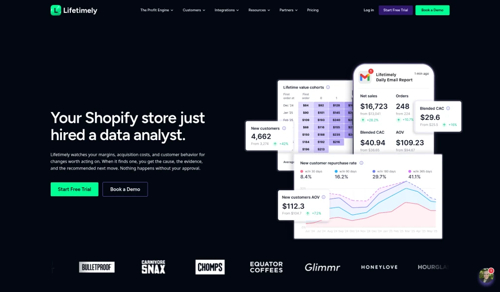 Lifetimely by AMP analytics page with lifetime value cohort and daily report dashboard cards