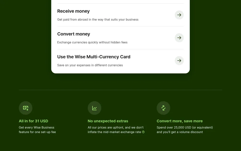 Wise Business pricing page showing send, receive, and convert money options and a 31 USD set-up fee for every Wise Business feature